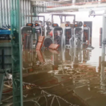 Fernando Gomes lembra vítimas  de mau tempo em Portugal após ter sido eleito membro honorário de um comité da UEFA